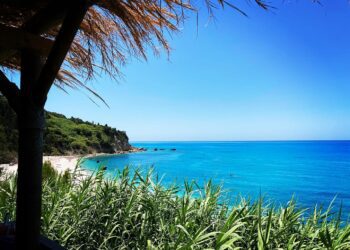 Mare