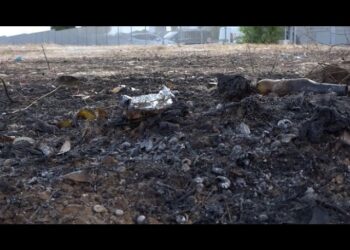 Roghi Continui Tra Japigia E Sant’anna, Residenti Insorgono: “i Ragazzi Vogliono Stare All’aria Aperta” – Video