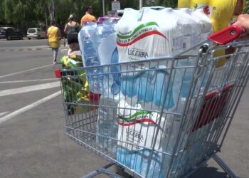 Spesa A Domicilio Per Over 70 E Soggetti Fragili, Servizio Gratuito Di Megamark: Un Aiuto Contro Il Caldo