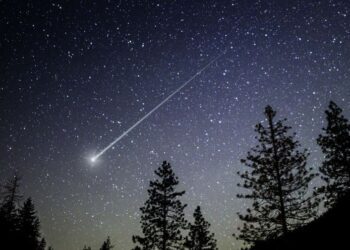 Stelle