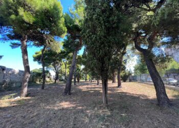 11 09 23 Questa Mattina Sopralluogo Tecnico Nell'area Del Parco Del Castello 3