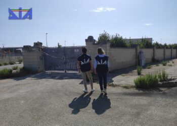 Foto Dia Lecce