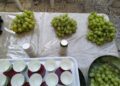 Img 20201004 165020
