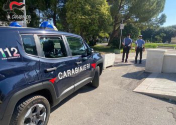 carabinieri bat