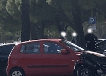 Bagarini