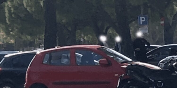 Bagarini