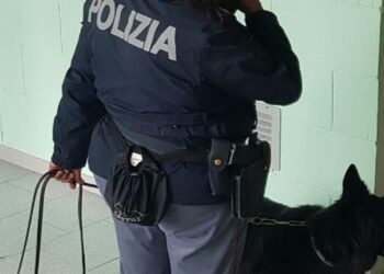 Cane Antidroga Polizia 2