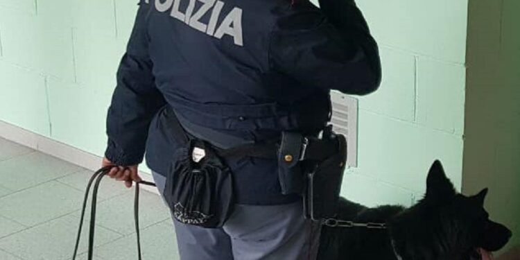 Cane Antidroga Polizia 2