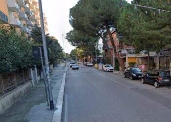 Corso Alcide