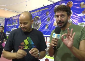 Fiera Del Levante, Il Nostro Live Dalla Galleria Delle Nazioni: Tutte Le Curiosità Tra Le Spezie Del Marocco – Video