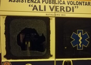 Furgoncino Disabili