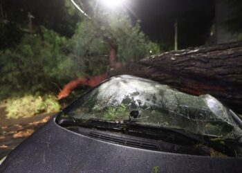 Maltempo In Puglia, Nubifragi In Salento: Alberi Caduti E Auto Distrutte – Video