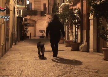 Narcotraffico, 60 Arresti Nel Barese: In Carcere 43 Persone. “così I Capriati Gestivano Il Mercato Della Droga” – Video
