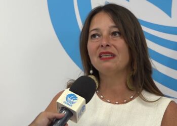 Puglia, Scioperano Gli Asili Privati: “a Rischio Le Iscrizioni Fatte A Gennaio E Genitori In Rivolta” – Video