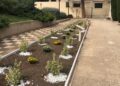 30 10 23 Nel Cimitero Monumentale L'iniziativa Di Sponsorizzazione Adotta Un Fiore