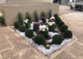 30 10 23 Nel Cimitero Monumentale L'iniziativa Di Sponsorizzazione Adotta Un Fiore 1