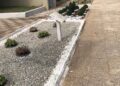 30 10 23 Nel Cimitero Monumentale L'iniziativa Di Sponsorizzazione Adotta Un Fiore 3