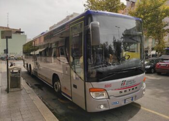 Bus Fse