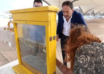 A Japigia Il Primo Apiario Di Bari Città: “un Progetto Fondamentale Per La Vita Di Tante Specie” – Video
