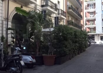 Al Libertà Non Solo Camere Da Letto: L’hotel Imago Plus Propone “alleanza”. Rassegna Di Botanica, Lettura E Zootecnia – Video