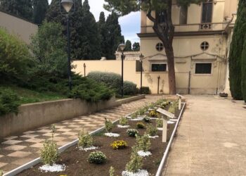 Cimitero