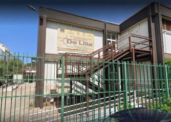 De Lilla Okok