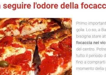 Focaccia Ok