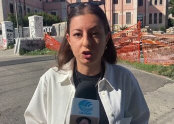 “mamma Ho Perso Il Treno… Da 4 Anni”, Oltre 15mila Firme Per La Petizione Dei Pendolari Sud Est – Video