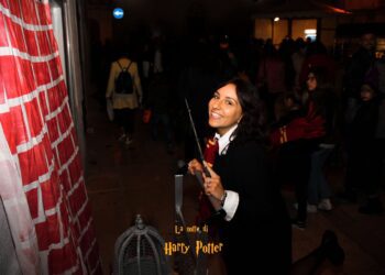 Notte Harry Potter