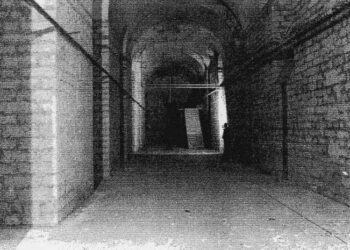 Panetti Storia