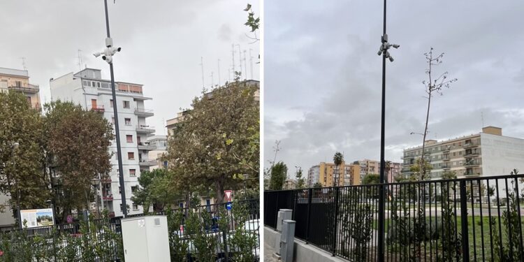 Telecamere