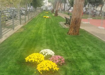 08 11 23 Questa Mattina La Riapertura Del Giardino Di Via Papa Pio Xii Al Termine Degli Iinterventi Di Riqualificazione 2