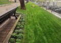 08 11 23 Questa Mattina La Riapertura Del Giardino Di Via Papa Pio Xii Al Termine Degli Iinterventi Di Riqualificazione 3