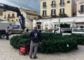 28 11 23 Al Via Gli Allestimenti Natalizi In Piazza Del Ferrarese Appuntamento Il 6 Dicembre Con L’accensione Dell’albero Di Natale Della Città Di Bari