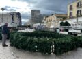 28 11 23 Al Via Gli Allestimenti Natalizi In Piazza Del Ferrarese Appuntamento Il 6 Dicembre Con L’accensione Dell’albero Di Natale Della Città Di Bari 3