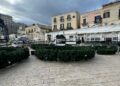 28 11 23 Al Via Gli Allestimenti Natalizi In Piazza Del Ferrarese Appuntamento Il 6 Dicembre Con L’accensione Dell’albero Di Natale Della Città Di Bari 5