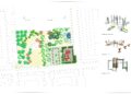 Greening 1