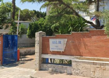Asl Brindisi