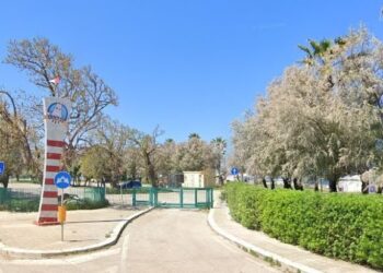 Bari Come Valencia, “scuole Vela E Sport Nautici” Tra Pane E Pomodoro E Torre Quetta – Video