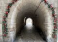 Bitonto 2