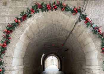 Bitonto Ev