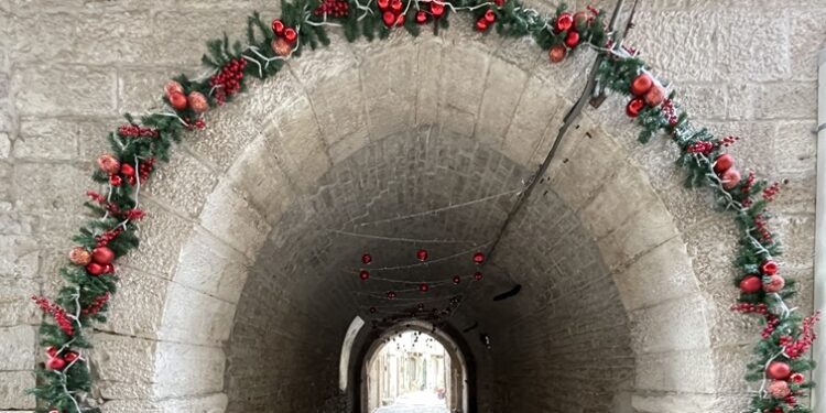 Bitonto Ev