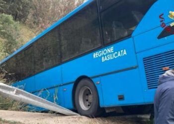 Bus Fal