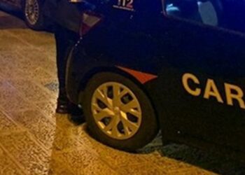 Carab