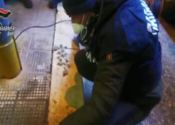 Carabinieri Droga Bitonto