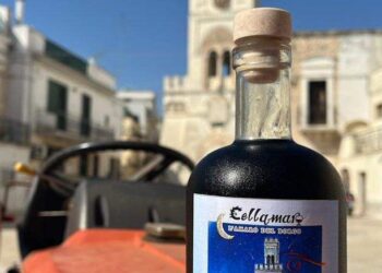 Cellamaro