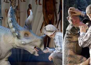Dinosauri
