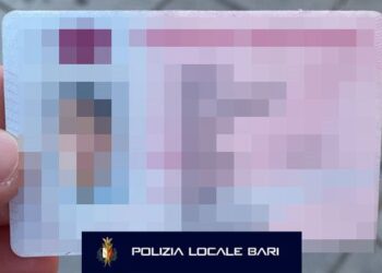 Fa1f89ef 01c2 4b20 Bbdf Af0497564431