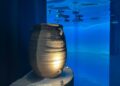 Museo Egnazia E Il Mare 2