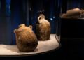 Museo Egnazia E Il Mare 7